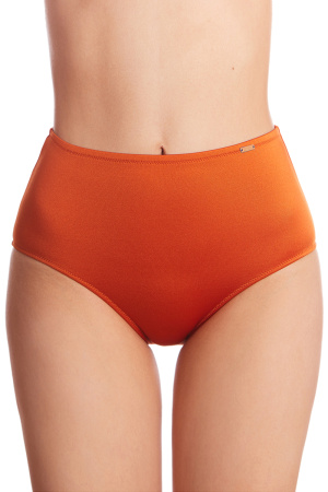 480339 Трусы купальные женские (Терракот, 122 тр)