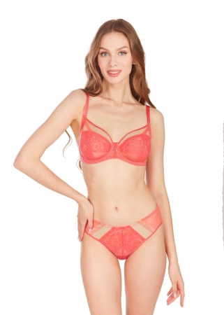 300643  Бюстгальтер (Фруктовый сорбет, 90G)