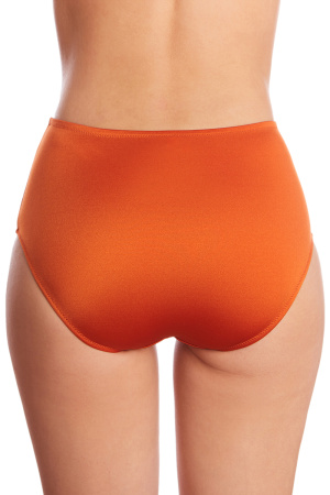 480339 Трусы купальные женские (Терракот, 122 тр)